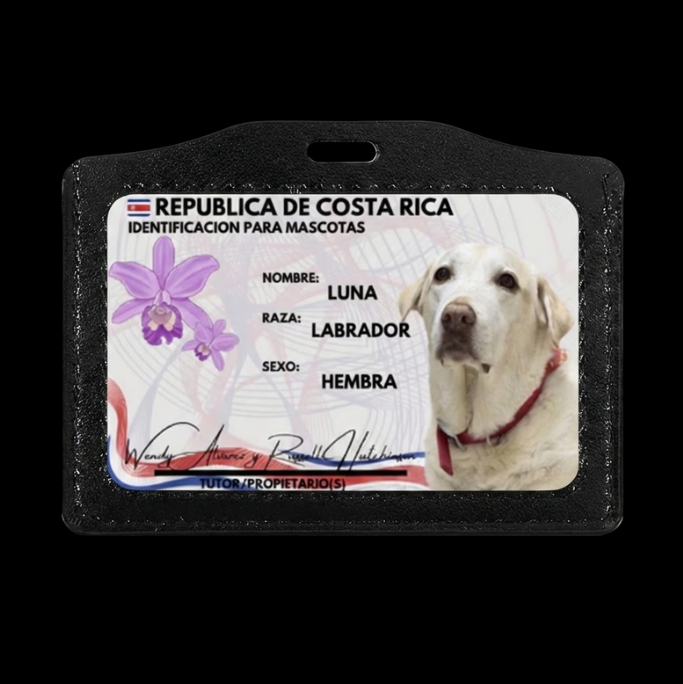 Cédulas Personalizadas