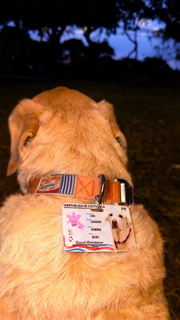 Cédula para Mascota
