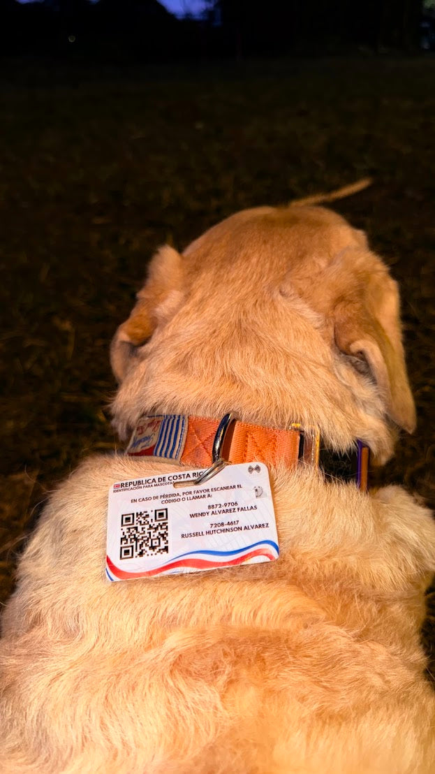 Cédula para Mascota